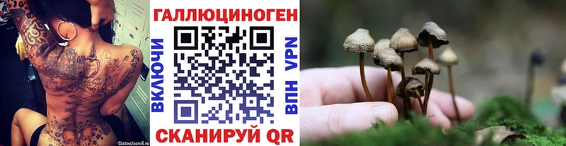 Купить закладки  Якутск  Псилоцибиновые грибы мицелий